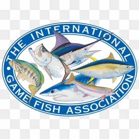 Igfa Logo - International Game Fish Association, HD Png Download - fish logo png