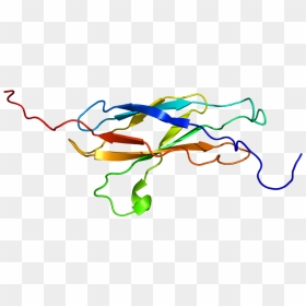 Protein Boc Pdb 1x4y - Colorfulness, HD Png Download - retweet png