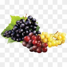 Fruit De Raisin Png , Png Download - Raisin Png, Transparent Png - raisin png