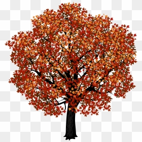 Red Maple Tree Png Clipart Picture - Transparent Background Maple Tree Png, Png Download - orange tree png