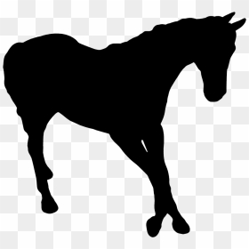 Silhouette Of Horse - Dark Horse Idiom, HD Png Download - black horse png