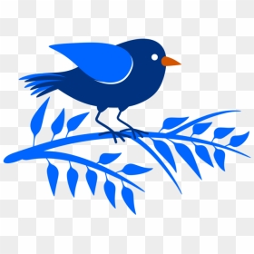 Perching Bird,beak,bluebird - Birds, HD Png Download - blue bird png