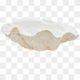 Bathroom Sink, HD Png Download - clam shell png