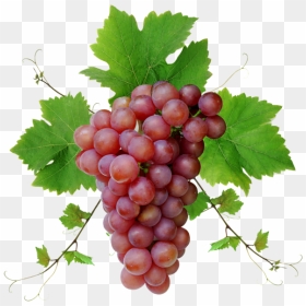 Grape With Leaves Png, Transparent Png - raisin png