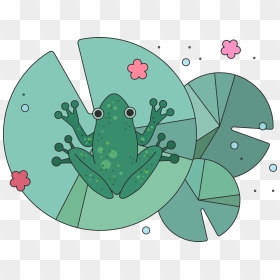 Frog, Png Download - Lilly Water Frog Illustration, Transparent Png - rainbow frog png