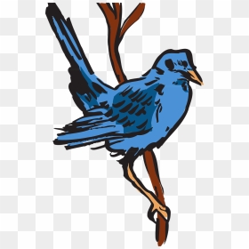Feather, HD Png Download - blue bird png