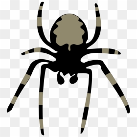 28 Collection Of Animated Spider Clipart - Spider Clip Art, HD Png Download - cute spider png