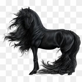Black Beauty Horse Anime, HD Png Download - black horse png