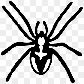 Thumb Image - Spider Black And White Clip Art, HD Png Download - cute spider png