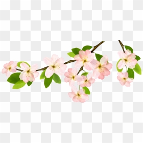 Magnolia Clipart Garland - Flower Branches Clipart Png, Transparent Png - spring background png