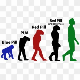 Evolution And Inheritance Year 6, HD Png Download - red pill png