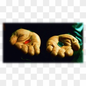 Going Down The Rabbit Hole Meme, HD Png Download - red pill png