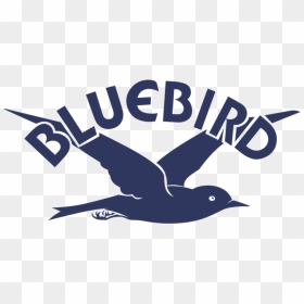 Bluebird - European Swallow, HD Png Download - blue bird png
