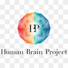 Hbp Human Brain Project, HD Png Download - human brain png