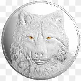 Silver Coin, HD Png Download - wolf eyes png