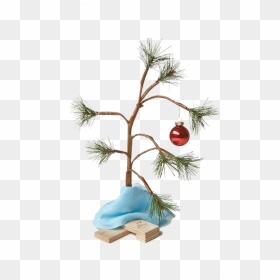 Charlie Brown Christmas Tree Charlie Brown Christmas - Charlie Brown Christmas Tree Background, HD Png Download - charlie brown christmas tree png