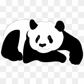 Giant Panda Bear Clip Art - Panda Bear Vector, HD Png Download - panda head png