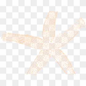 Starfish Clipart Peach - Starfish, HD Png Download - starfish clipart png