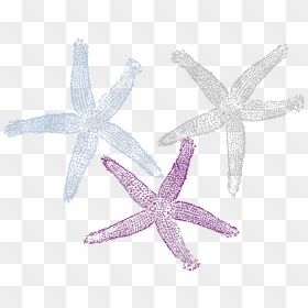 Starfish Prints Svg Clip Arts - Starfish, HD Png Download - starfish clipart png