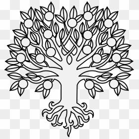 Orange Tree Fructed And Eradicated - Tree Orange Draw Black And White, HD Png Download - orange tree png