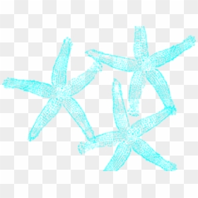 Starfish Clipart Mint Green - Fish Clip Art, HD Png Download - starfish clipart png