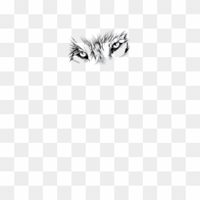 Wolf Eyes - Hedgehog, HD Png Download - wolf eyes png