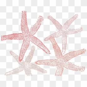 Fish Clip Art, HD Png Download - starfish clipart png