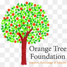 Orange Tree Foundation Logo, HD Png Download - orange tree png