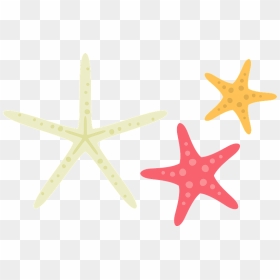 Starfish Sea Stars Clipart - Starfish, HD Png Download - starfish clipart png