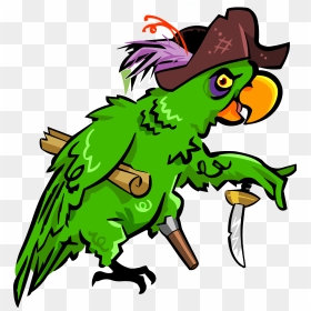 Cute Pirate Parrot Clipart, HD Png Download - vhv