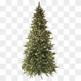 Christmas Tree W Led Vancouver - 7ft Slim Pre Lit Christmas Tree, HD Png Download - christmas tree star png