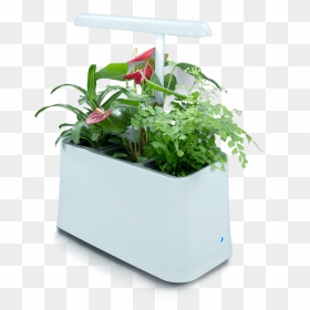 Plant-based Air Purifier, More Than Just Indoor Plants - Air Filter From Plant Machine, HD Png Download - harambe face png