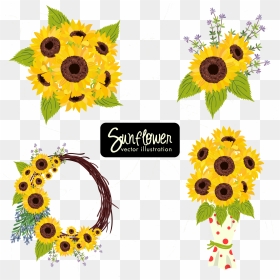 Transparent Sunflower Vector Png - Sun Flower Fector Png, Png Download - sunflower vector png