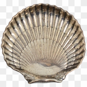 Shell, HD Png Download - clam shell png
