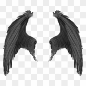 Devil Wings Png, Transparent Png - bird wings png