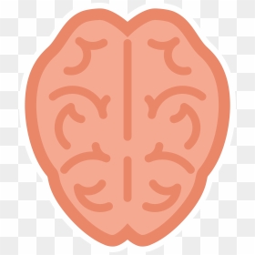 Cartoon Brain Png - Human Brain, Transparent Png - human brain png