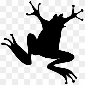 Frog Clip Art - Clip Art Attention Getter, HD Png Download - rainbow frog png