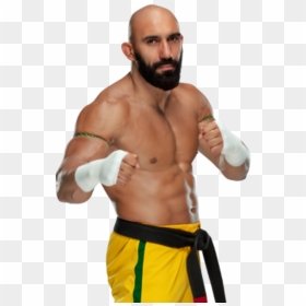 Arturo Ruas Png, Transparent Png - hideo itami png