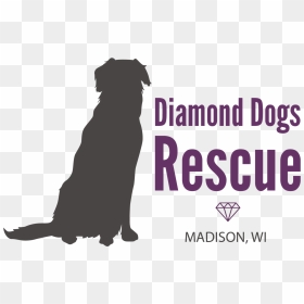 Diamond Dogs Logo Png - Poster, Transparent Png - diamond dogs logo png