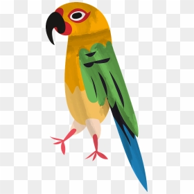 Parrot Clipart - Macaw, HD Png Download - pirate parrot png