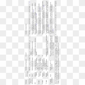 Document, HD Png Download - human brain png