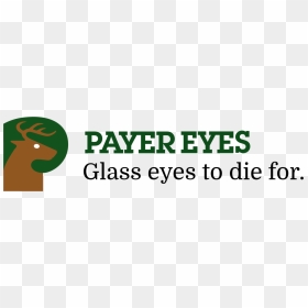 Payer Eyes - Oval, HD Png Download - wolf eyes png