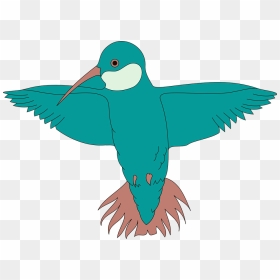 Transparent Wings Clipart - Bird Spreading Wings Clipart, HD Png Download - bird wings png