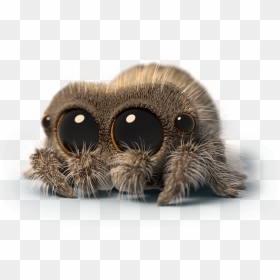 Adorable Lucas The Spider, HD Png Download - cute spider png