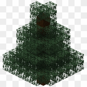 Spruce Tree Official Minecraft Wiki - Spruce, HD Png Download - minecraft tree png