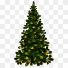 Christmas Tree Blank Background, HD Png Download - charlie brown christmas tree png