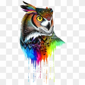 #owl #colors #mandala #bird #animal #nature #beak #wings - Watercolor Owl, HD Png Download - bird wings png