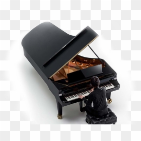 Finding The Instrument With Which You Become One - Grand Piano Yamaha Price, HD Png Download - grand piano png