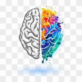 Left And Right Brain Logo , Png Download - Left Brain Right Brain Clipart, Transparent Png - brain outline png