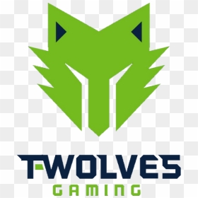 T-wolves Gaminglogo Square - T Wolves Gaming Logo, HD Png Download - 2k logo png